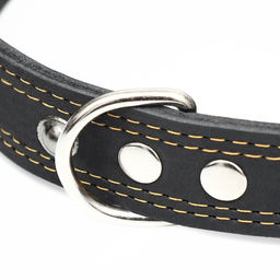 Ошейник кожаный двухслойный украшенный, 85 х 4.5 см, ОШ 50-70 см, чёрный - Пижон фото 4