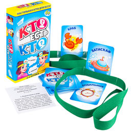 Игра Кто есть кто? 2108C Cards - Dream makers фото 4