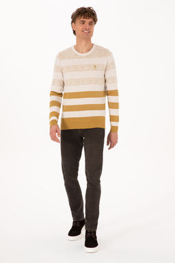 Erkek Regular Fit Bisiklet Yaka Hardal Kazak - U.s. polo assn фото 11
