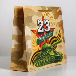 Цена за 2 шт. Пакет подарочный ламинированный, упаковка, С 23 февраля, ML 25?21?8 см