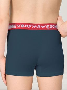 BUHB3307(2шт. в упаковке) трусы для мальчиков - Pelican фото 5