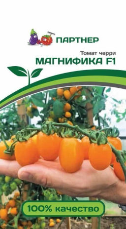 Томат Черри Магнифика - Партнер фото 2