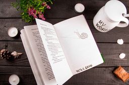 Тайные виды на гору Фудзи - Эксмо фото 17