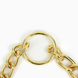 Ошейник - полуудавка металлический двухрядный, 40 см, толщина проволоки 2 мм, золотистый - Пижон фото 5