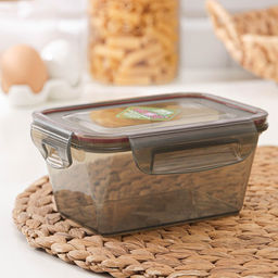 Контейнер для хранения еды Виолет, 800 мл, герметичный, пластик, серый