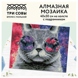 Алмазная мозаика 40*50см "Кошачий космос" 26цв. (АМП4050_47621, "ТРИ СОВЫ") полное заполнение, с подрамником
