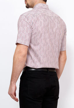 Сорочка мужская короткий рукав GREG Gb613/309/5/Z/P/1  фото 2