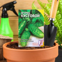 Цена за 5 шт. Семена Огурец "Кустовой", 0,5 г