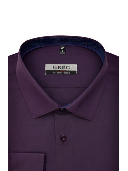 Сорочка мужская длинный рукав GREG 740/237/1292/ZN/1p STRETCH  фото 3