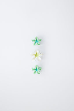 PACK TRES PINZAS FLORES HIBISCUS / Verde