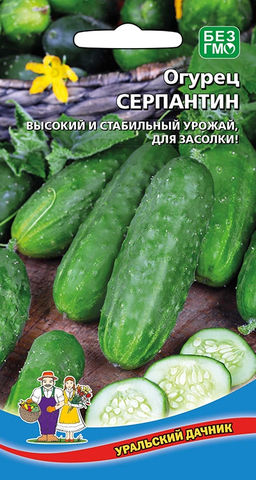Огурец СЕРПАНТИН Сибирская селекция! Высокая и стабильная урожайность! Для засолки и консервирования!