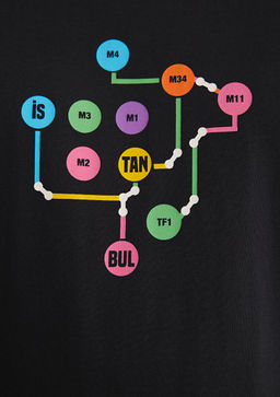 Siyah Istanbul Tisort - Mavi фото 7