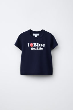 CAMISETA ESTAMPADO / Azul