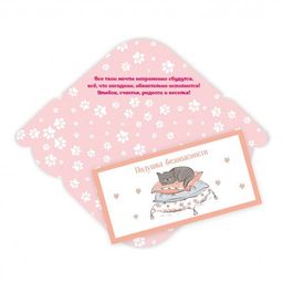 Цена за 5 шт. Конверт для денег "Подушка безопасности" (6375)