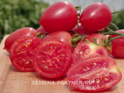 Томат Агроденс - Партнер фото 3