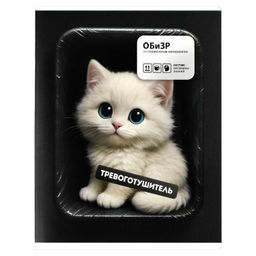 Тетрадь предметная арт. 73074/ 16 "ФРАЗЫ С ХАРАКТЕРОМ" ОБиЗР /48 л., А5+, вн.блок - клетка, белый оф