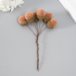 Цветы для декорирования «Жёлудь», бежевый, 1 букет= 6 веточек, d=2 см, 11 см