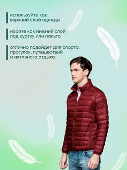 Куртка мужская без капюшона, бордовый