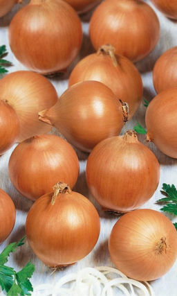 Лук репчатый СТРИГУНОВСКИЙ МЕСТНЫЙ Скороспелый, высокоурожайный сорт для зимнего хранения!