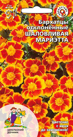Бархатцы ШАЛОВЛИВАЯ МАРИЭТТА  Тип отклонённые немахровые
