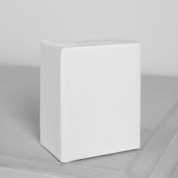 Светодиодная фигура «Дом» 5×4×4 см, керамика, батарейки AG13×2 (в комплекте), свечение тёплое белое