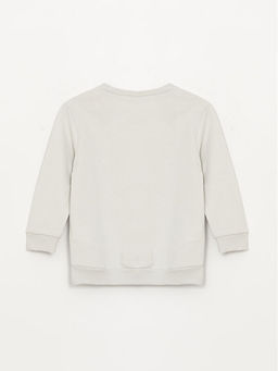 Bisiklet Yaka Bask?l? Erkek Bebek Sweatshirt - Waikiki фото 2