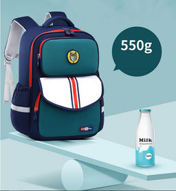 Рюкзак GO-2028-Blue/Pink - Ferro фото 5