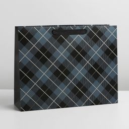 Пакет подарочный ламинированный, упаковка, «Man», L 40 х 31 х 11.5 см