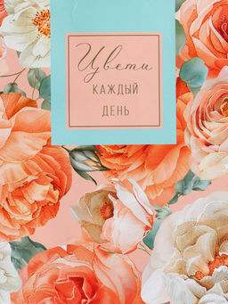 Пакет подарочный ламинированный «Цвети каждый день», бирюзовый с розовым, 18×22.3×10 см