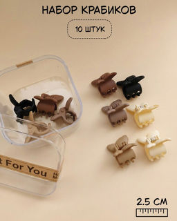 Набор крабиков для волос в боксе (10 шт)