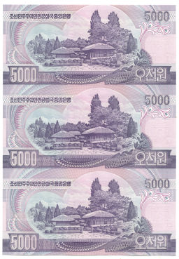 5000 вон 2006 года Северная Корея  Лист из трех банкнот