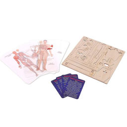 Набор для опытов Строение человека, 10 обучающих карточек - Эврики фото 2