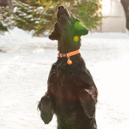 Маячок Сфера 3 режима свечения оранжевый - Пижон фото 13