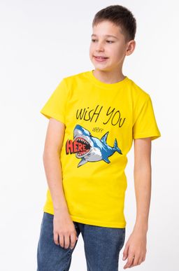 Футболка для мальчика Bonito  фото 54