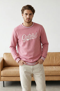 Pembe Regular/Normal Kesim Triko Bantl_ Nak__l_ Sweatshirt TMNAW26SW00066