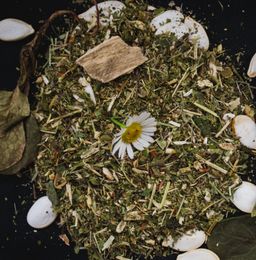 От простатита 100 гр.