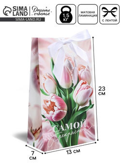 Пакет подарочный с лентой, упаковка, Самой прекрасной, 13?23?7 см