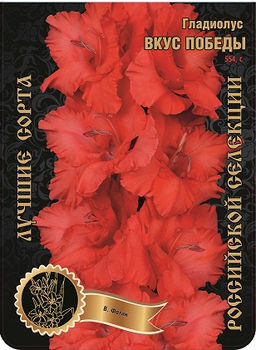 Гладиолус Вкус Победы (В-16-327) 554,Фотин 1 р-р 7шт (Ф)