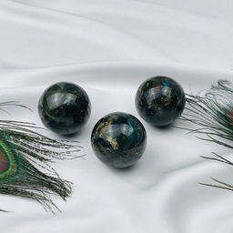 Шар из Лабрадора