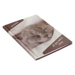 Блокнот А6, 40 листов в клетку Спящий кот, твёрдая обложка, блок офсет - Calligrata фото 2