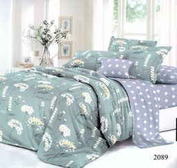 Ветреность 2-спальный с Евро простыней (молния)