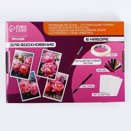 Набор для рисования масляной пастелью Пионы, 8 цветов, набор для творчества