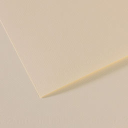 "Canson" Бумага для пастели Mi-Teintes 160 г/м2 A4 21 х 29.7 см лист 25 л. №110 Лилия C31032S006