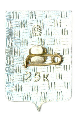 Значок Мурманск