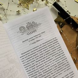 Художница из Джайпура