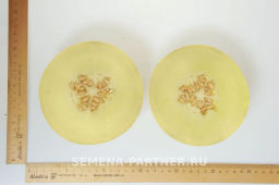 Дыня Амина - Партнер фото 4