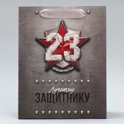 Цена за 2 шт. Пакет подарочный ламинированный, упаковка, «С 23 февраля», ML 23×27×11.5 см