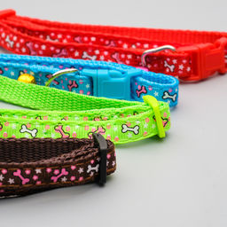 Ошейник двухслойный с фастексом Звездные косточки, 30 х 1 см, микс цветов - Пижон фото 6