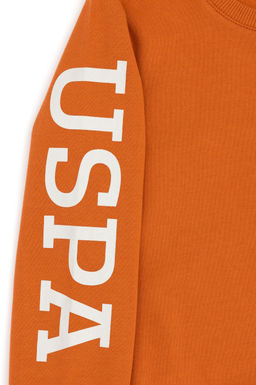 Базовый свитшот с корицей для мальчиков Неожиданная скидка в корзине - U.s. polo assn фото 4