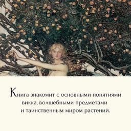 Викка. Зеленая магия, растения и ритуалы. Дуглас Скотти ди Виголено - Колибри фото 3